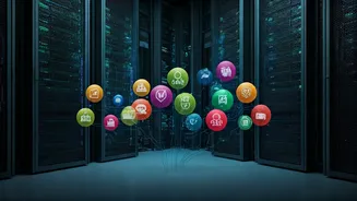 Boosting Indian Startups: Policy and Growth