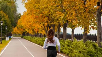 How Low-Intensity Post-Meal Strolls Help Drop Blood Sugar Levels And Muscle Pain