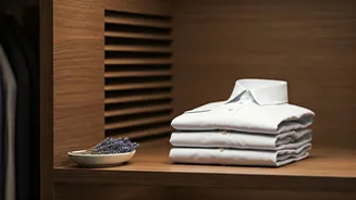 Adeus Umidade e Mofo: O Guia Completo para Roupas Sempre Cheirosas!