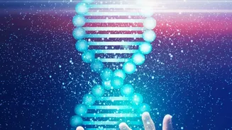 DNA Study On Why Large Dogs Age Faster Explained: DNA Changes May Help Explain Size-Related Lifespan Gaps