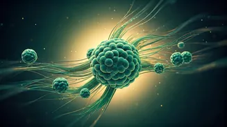 Probiotic Buzz Is No Longer The Whole Story