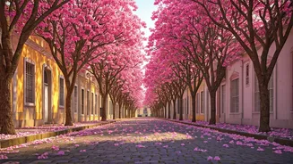 India's Blooming Pink Spectacle: 5 Cities for Your Most Instagrammable Spring Photos