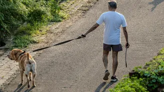 Cycling or walking: Which is better for your reflexes?