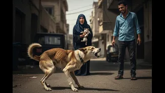 Mumbai Man Sexually Abused A Dog. 'Fine: ₹50' — Why Experts Say That's 'Not The Scariest Part'