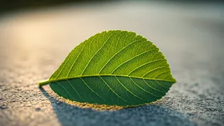 Moving On After Love: 5 Ways to Heal & Recover