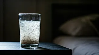 Unlock Overnight Wellness: 6 Amazing Benefits of Drinking Chia Seed Water Before Bed