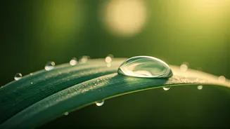 Neena Gupta's Morning Ritual: Harnessing Calm Through Deep Breathing