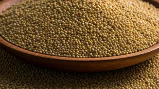 India’s Millet Craze Is Not Going Anywhere