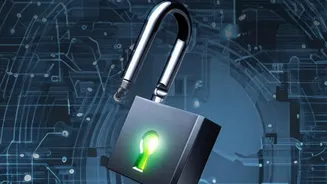Never Enter PIN To Receive Money: Essential UPI Safety Steps Against Digital Fraud