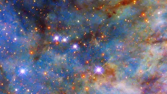 The Space-Science Question Behind NASA's First Public IMAP Science Data: The Boundary with Interstellar Space