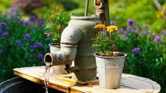How Off-Grid Micro-Pumps Ensure Uninterrupted Water Flow For Maharashtra Crops