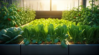 Fresh Pesticide Free Living Rebranded Via Easy Terrace Farming Guides