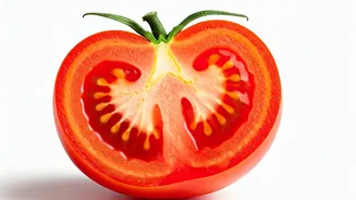 Aamir Khan's Anti-Inflammatory Diet: A Weight Loss Journey