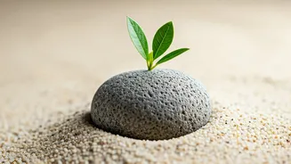 Micro-Meditation: A Guide for Modern, Busy Lives
