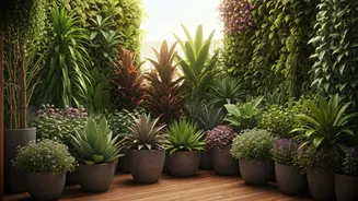Terrace Gardens Can Bloom With Less Effort