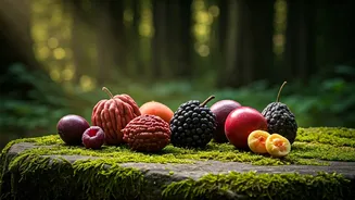 India's Hidden Harvest: 10 Incredible Wild Fruits and Their Amazing Health Benefits