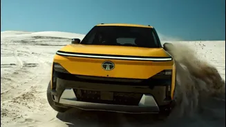 Related Stories banner