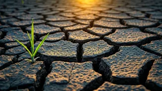 Decoding Dehydration: Signs Your Body is Thirsty