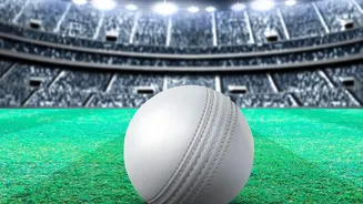 Who is Vaibhav Sooryavanshi's cricket idol: A look at his cricketing idols?