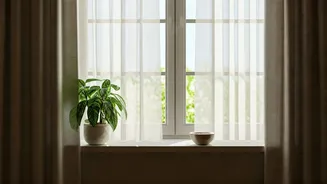 5 Ingenious Eco-Hacks for a Cooler Home Without Relying on AC