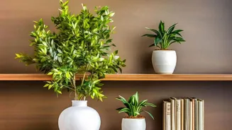 Urban Homes Are Choosing Earthy Design Over Flashy Décor