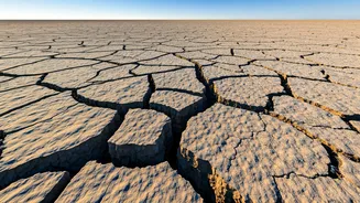 Delhi Earthquake: Shaking the Ground