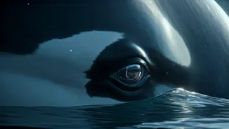 Arctic Encounters: Swimming with Wild Orcas and Finding Inner Calm