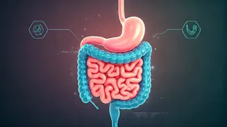 How Social Media Made Digestive Health Look Incredibly Cool