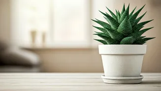 Beat Humidity With These Clever Ideas