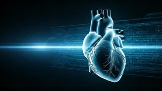 Related Stories banner