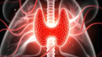 Overactive Thyroid? Unexplained Weight Loss & Racing Heart Signals You Need to Know