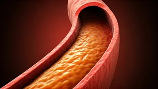 Beyond the Treadmill: Hidden Heart Risks for the Seemingly Fit