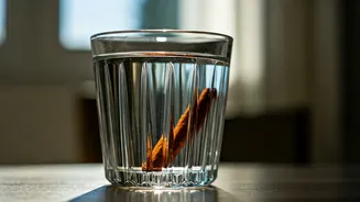 Isha Koppikar's Morning Rituals: Hydration, Cinnamon, and Their Health Benefits