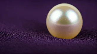 Pisces Horoscope: February 2026