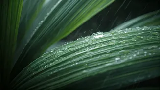 Book Monsoon Trips Like Weather Can Change
