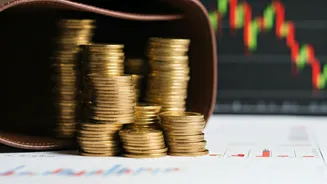 Sebi's Fee Cuts: Lower Costs for Investors?