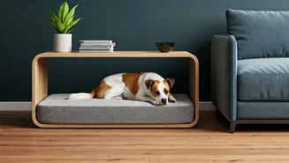 Pets Are Getting Their Own Design Language