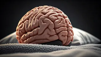 Sleep Secrets: Decoding Gender, Brain, and Better Zzz's