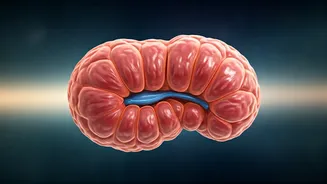 Taming Cortisol: Your Guide to Stress Hormone Balance