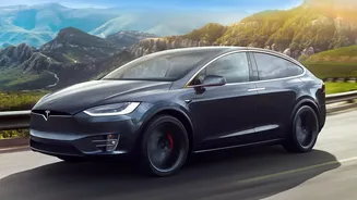 Tesla's Vehicle Visualisation Faces a Crowded Test on Indian Roads