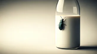 Consumer Outcry: Insect Found in Milk Bottle Sparks Hygiene Concerns and Company Response