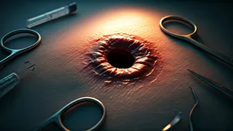 Rat Bites: Immediate Actions and Preventing Infections