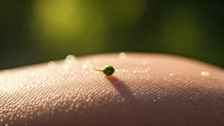 Beyond Rice Water: 5 Japanese Skincare Secrets for Radiant Skin