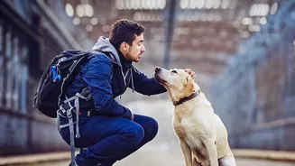 India's Pet Services Need Stronger Links with Veterinary Professionals