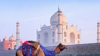 10 Experiences That Take You Deeper into Amritsar's Identity