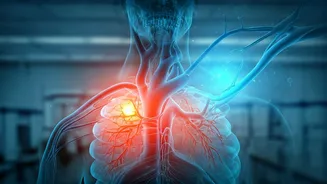 Unlocking Homocysteine: Understanding Levels, Risks, and Natural Management