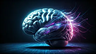 Related Stories banner