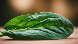 Sorrel's African Flavors: 5 Delicious Dishes to Explore