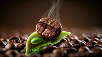 14 Days of Coffee: A Doctor's Guide to Daily Brew Benefits