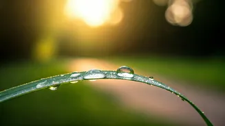 Unlock Your Inner Calm: Surprising Daily Habits Science Says Boost Stress Resilience